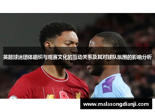 英超球迷团体组织与观赛文化的互动关系及其对球队氛围的影响分析