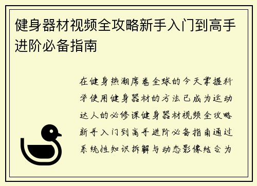 健身器材视频全攻略新手入门到高手进阶必备指南