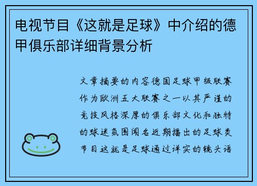 电视节目《这就是足球》中介绍的德甲俱乐部详细背景分析